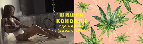 гашик Богородск