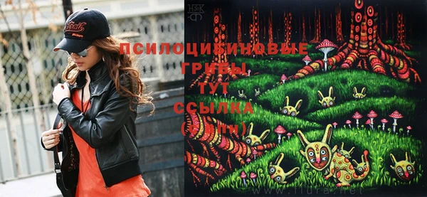 первитин Богданович