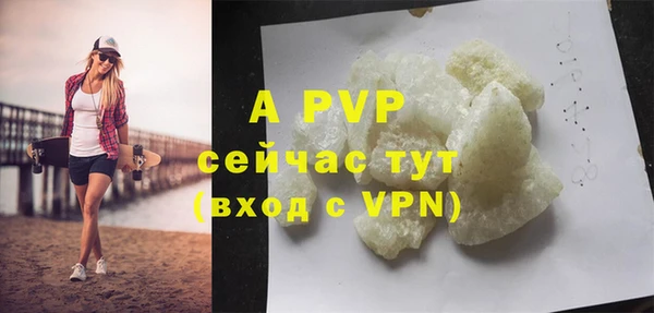 первитин Богданович