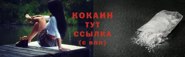 хмурый Богородицк