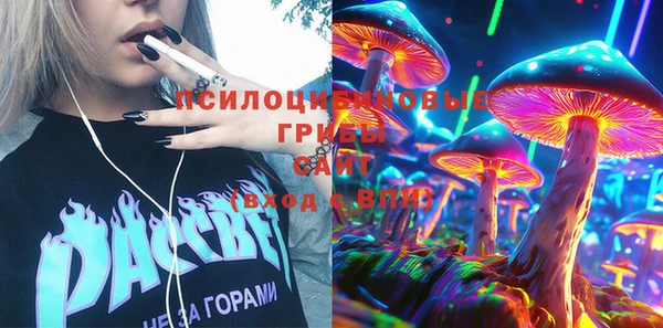 гашик Богородск