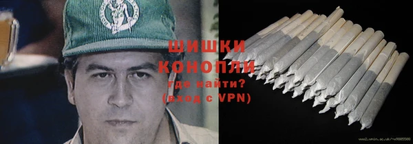 первитин Богданович