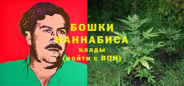 хмурый Богородицк