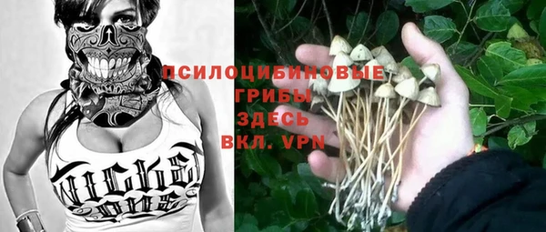первитин Богданович