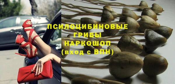первитин Богданович
