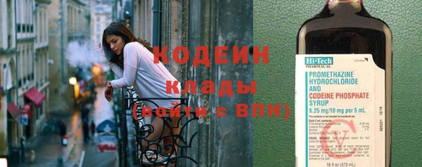 хмурый Богородицк